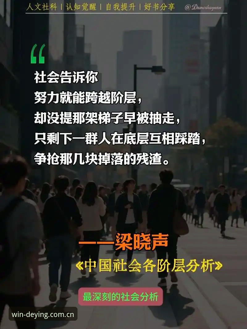 深度揭秘：德赢体育安卓手机版2025新版背后的技术革新与用户体验升级